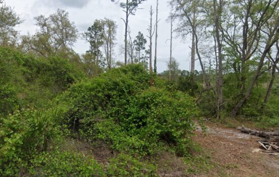 Waterfront property, 0.35 acre on New York Ave, Satsuma