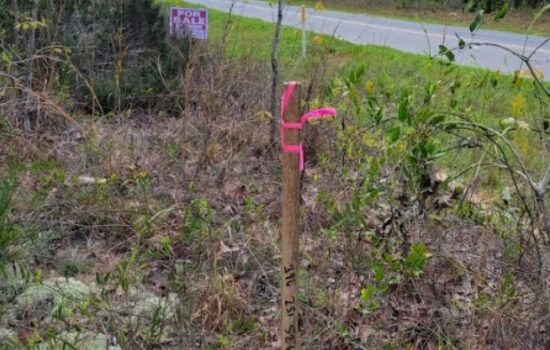 Corner. 3 lots on a Paved Road at Francis St