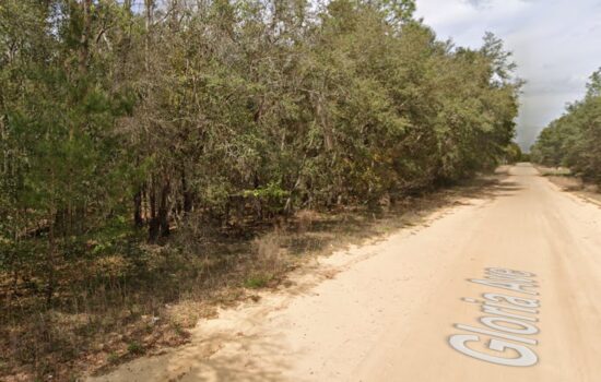 Gloria Ave lot on a Dirt Road. Tent-Camping and Mobile Home Friendly.