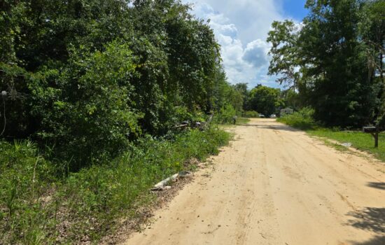 Your land on Rhonda Ave. Minutes away from Jewel Lake.