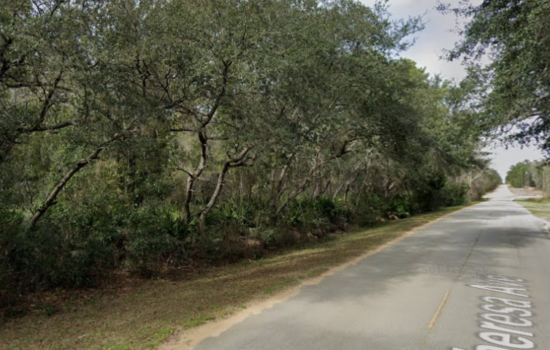 Theresa Ave on a Paved Road. Flat topography with no flood zones!