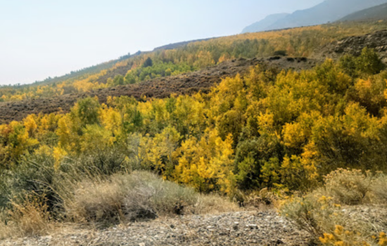 40 Acres Land of Tranquil Sanctuary Elko County