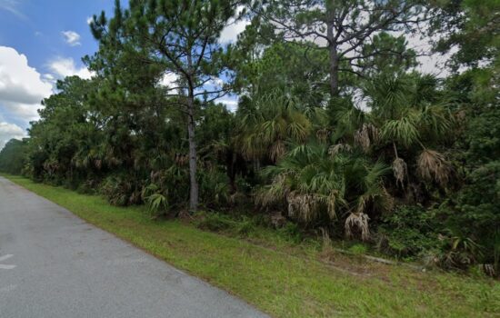 Your Land on Munoz St. Minutes from Myakka River.