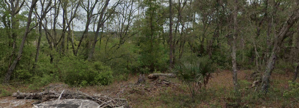 Your Lakefront property at 212 New York for just $500 Down