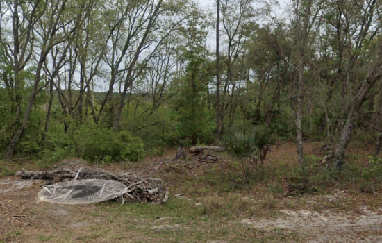 Your Lakefront property at 212 New York for just $500 Down